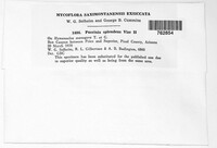 Image Associated With the Occurence